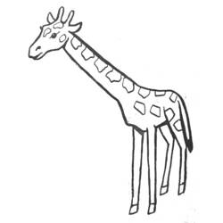 Раскраска: жираф (Животные) #7230 - Раскраски для печати