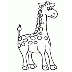 Раскраска: жираф (Животные) #7232 - Раскраски для печати