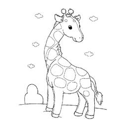 Раскраска: жираф (Животные) #7236 - Раскраски для печати