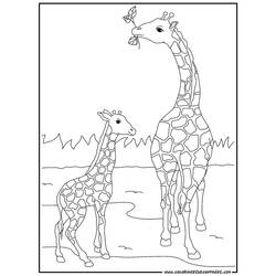Раскраска: жираф (Животные) #7248 - Бесплатные раскраски для печати