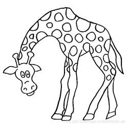 Раскраска: жираф (Животные) #7250 - Раскраски для печати