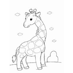 Раскраска: жираф (Животные) #7253 - Раскраски для печати