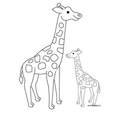 Раскраска: жираф (Животные) #7259 - Раскраски для печати