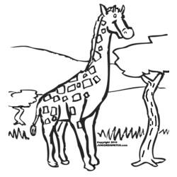 Раскраска: жираф (Животные) #7287 - Раскраски для печати
