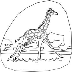 Раскраска: жираф (Животные) #7289 - Бесплатные раскраски для печати