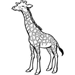 Раскраска: жираф (Животные) #7291 - Раскраски для печати