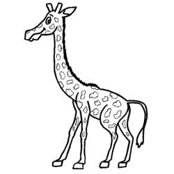 Раскраска: жираф (Животные) #7294 - Бесплатные раскраски для печати