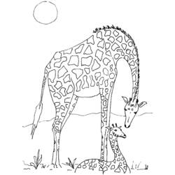 Раскраска: жираф (Животные) #7302 - Бесплатные раскраски для печати