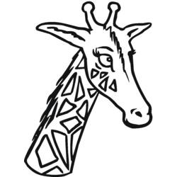 Раскраска: жираф (Животные) #7313 - Бесплатные раскраски для печати