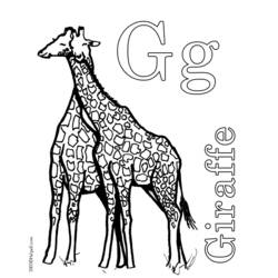 Раскраска: жираф (Животные) #7316 - Бесплатные раскраски для печати