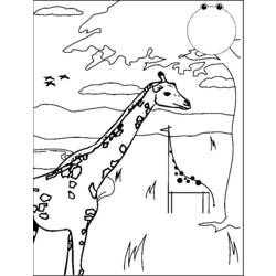 Раскраска: жираф (Животные) #7322 - Бесплатные раскраски для печати