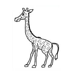 Раскраска: жираф (Животные) #7324 - Бесплатные раскраски для печати