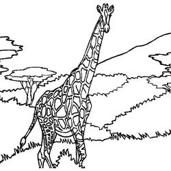 Раскраска: жираф (Животные) #7330 - Бесплатные раскраски для печати