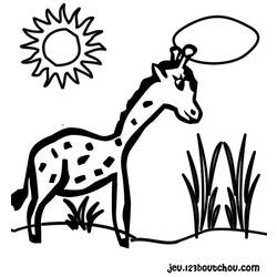 Раскраска: жираф (Животные) #7339 - Бесплатные раскраски для печати