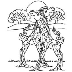 Раскраска: жираф (Животные) #7344 - Бесплатные раскраски для печати