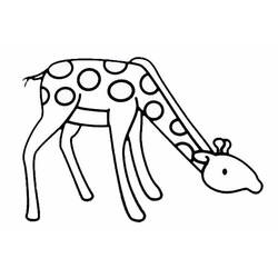 Раскраска: жираф (Животные) #7345 - Бесплатные раскраски для печати