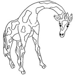 Раскраска: жираф (Животные) #7360 - Раскраски для печати