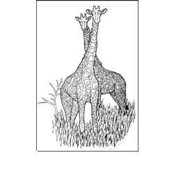 Раскраска: жираф (Животные) #7365 - Бесплатные раскраски для печати