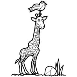 Раскраска: жираф (Животные) #7370 - Бесплатные раскраски для печати