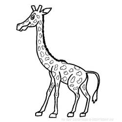 Раскраска: жираф (Животные) #7386 - Бесплатные раскраски для печати