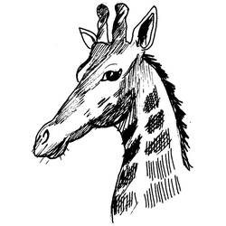 Раскраска: жираф (Животные) #7389 - Бесплатные раскраски для печати