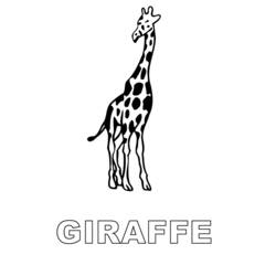 Раскраска: жираф (Животные) #7398 - Бесплатные раскраски для печати