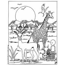 Раскраска: жираф (Животные) #7399 - Раскраски для печати
