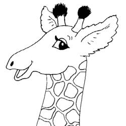 Раскраска: жираф (Животные) #7412 - Раскраски для печати