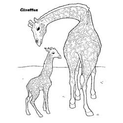 Раскраска: жираф (Животные) #7413 - Бесплатные раскраски для печати