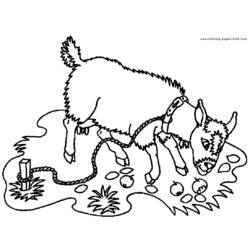 Раскраска: коза (Животные) #2378 - Бесплатные раскраски для печати