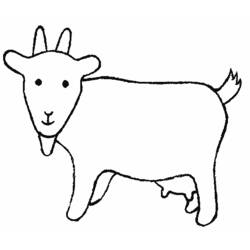 Раскраска: коза (Животные) #2398 - Раскраски для печати