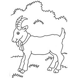 Раскраска: коза (Животные) #2403 - Раскраски для печати