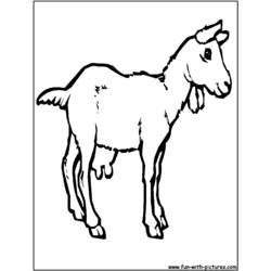 Раскраска: коза (Животные) #2422 - Раскраски для печати