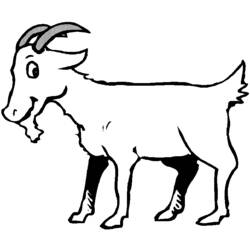 Раскраска: коза (Животные) #2438 - Раскраски для печати