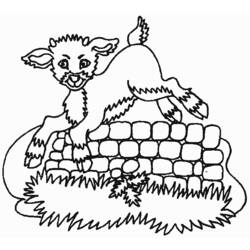 Раскраска: коза (Животные) #2443 - Бесплатные раскраски для печати