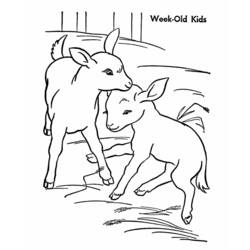 Раскраска: коза (Животные) #2518 - Раскраски для печати