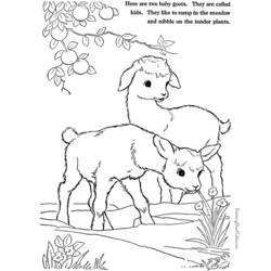 Раскраска: коза (Животные) #2520 - Раскраски для печати