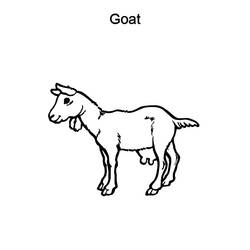 Раскраска: коза (Животные) #2541 - Раскраски для печати