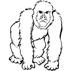 Раскраска: горилла (Животные) #7419 - Раскраски для печати