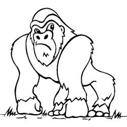 Раскраска: горилла (Животные) #7420 - Раскраски для печати