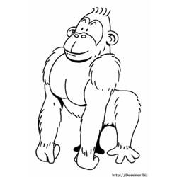 Раскраска: горилла (Животные) #7422 - Раскраски для печати