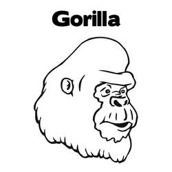 Раскраска: горилла (Животные) #7443 - Раскраски для печати