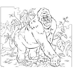 Раскраска: горилла (Животные) #7455 - Раскраски для печати