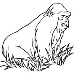 Раскраска: горилла (Животные) #7459 - Бесплатные раскраски для печати