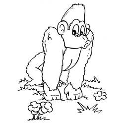 Раскраска: горилла (Животные) #7460 - Бесплатные раскраски для печати