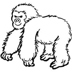 Раскраска: горилла (Животные) #7475 - Бесплатные раскраски для печати