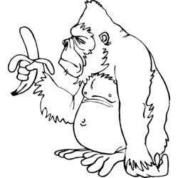 Раскраска: горилла (Животные) #7482 - Раскраски для печати