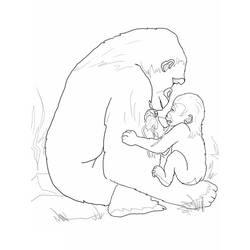 Раскраска: горилла (Животные) #7490 - Бесплатные раскраски для печати