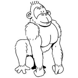Раскраска: горилла (Животные) #7495 - Раскраски для печати