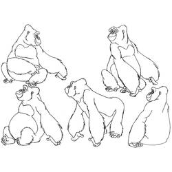 Раскраска: горилла (Животные) #7496 - Раскраски для печати